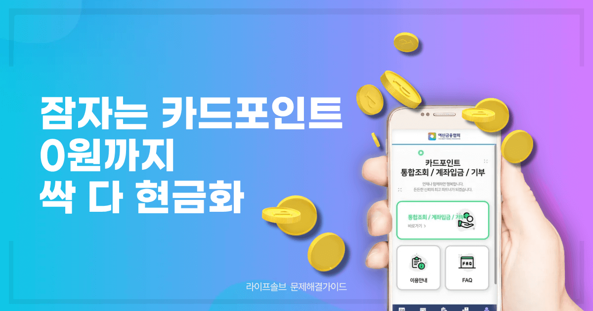 카드포인트 현금화 방법을 정리하는 대표이미지.