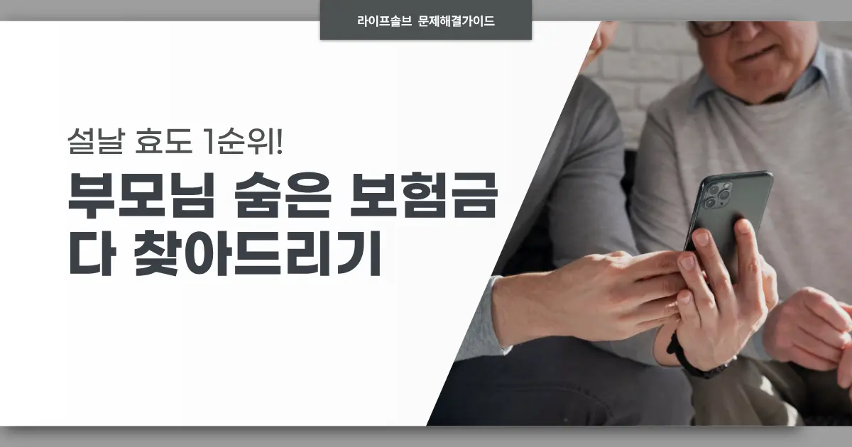 부모님 숨은 보험금 찾아드리기 대표이미지.